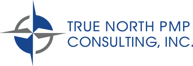 Service Project Management Process Audit True North Pmp Consulting Inc Michigan